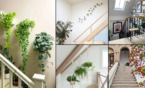 Ideas for wall decor on stairs