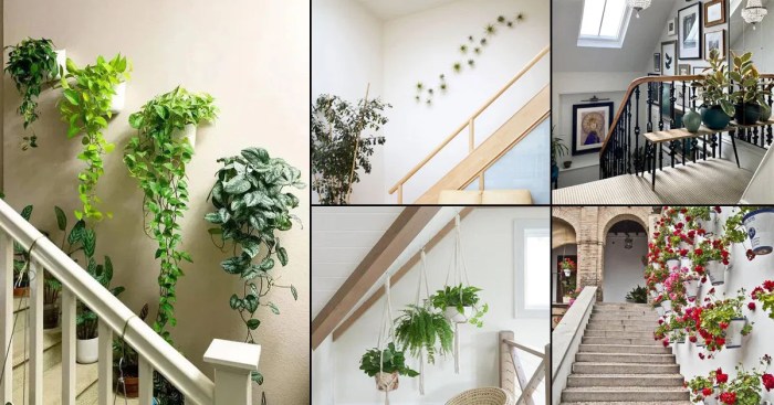 Ideas for wall decor on stairs