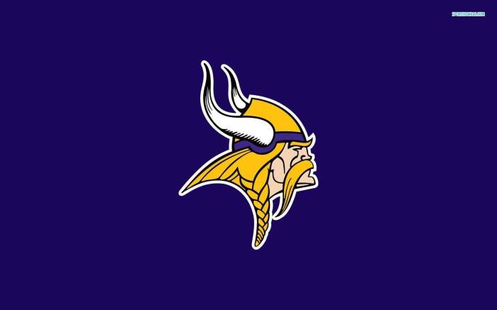 Minnesota vikings wall decor