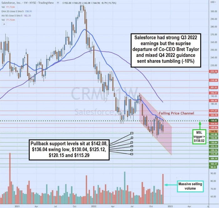 Salesforce stock price