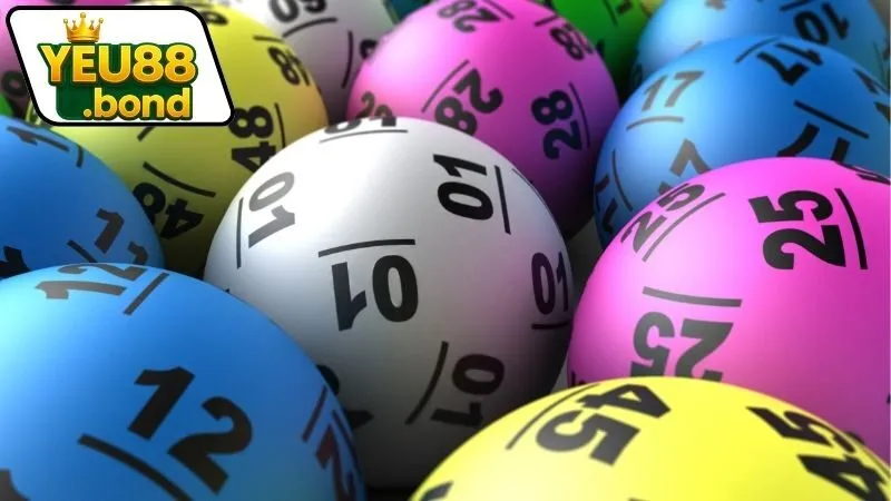 Cách nuôi lô đề hiệu quả nhất hiện nay